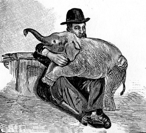 quelquechose II