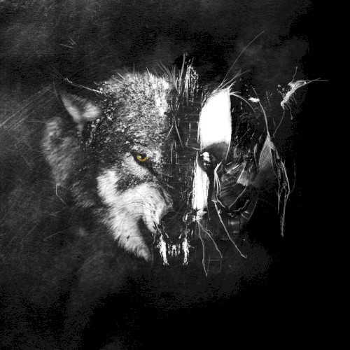 Wolves