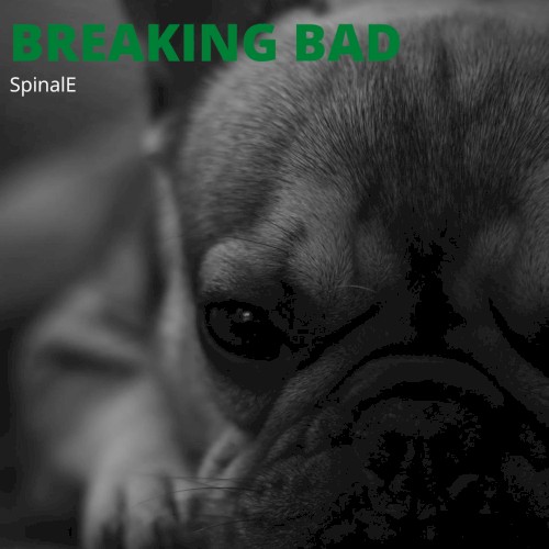 Breaking Bad