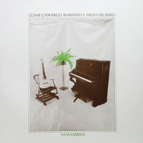 Samambaia