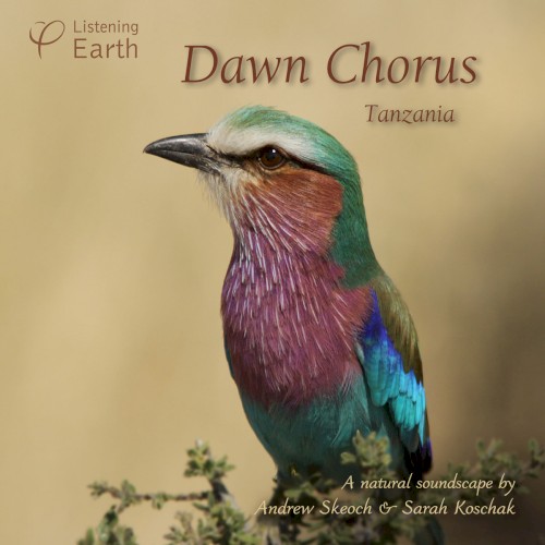 Dawn Chorus: Tanzania