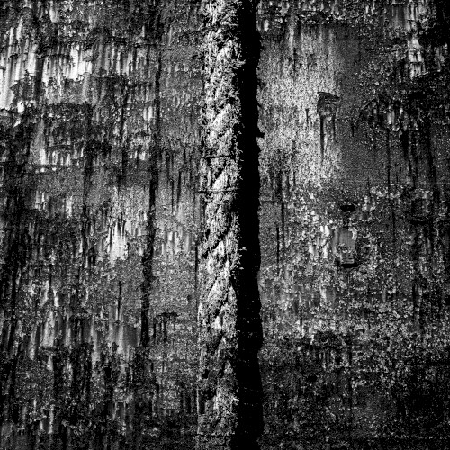 Now We Are a Ghost Ship