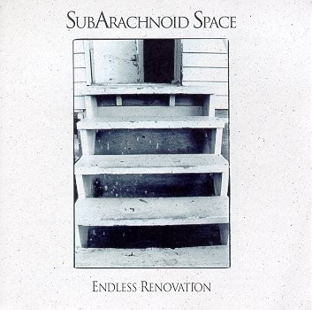 Endless Renovation