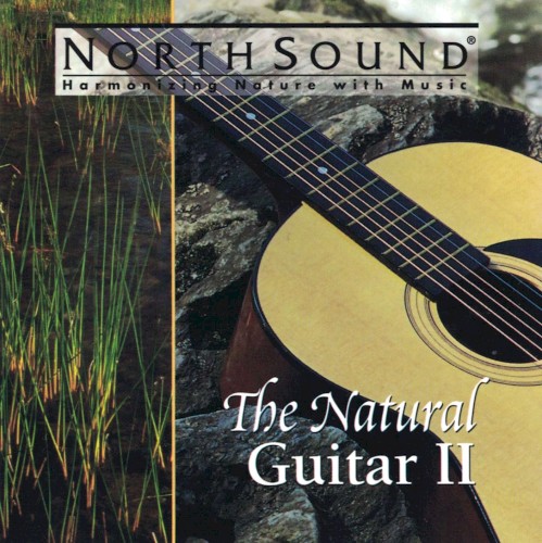 The Natural Guitar II