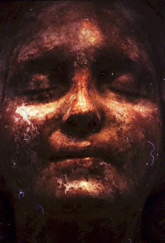 Mondo Decay