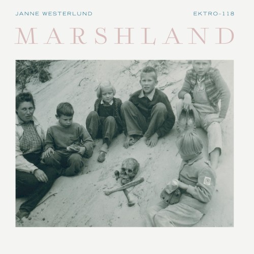 Marshland