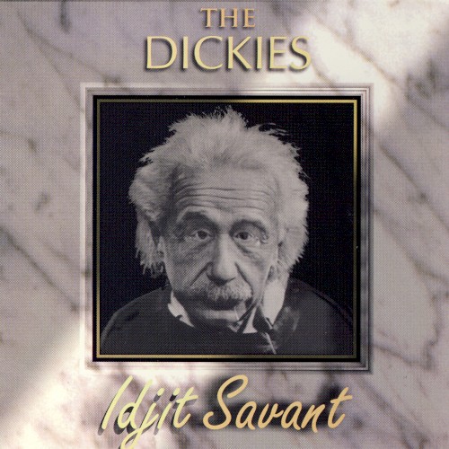 Idjit Savant