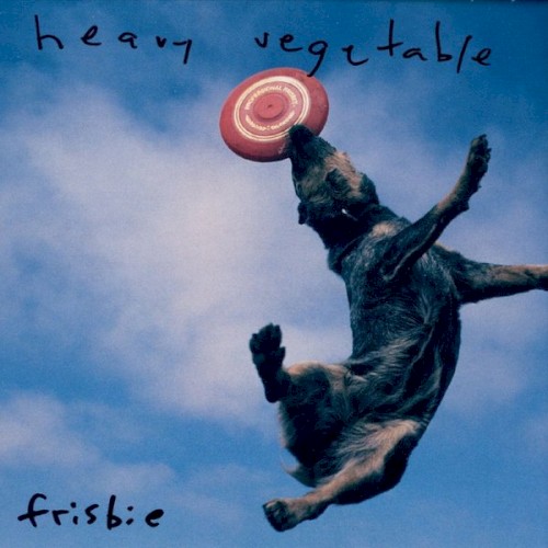 Frisbie