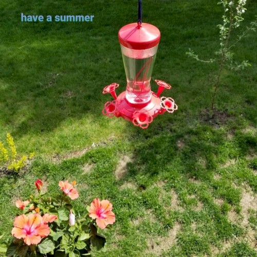 have a summer