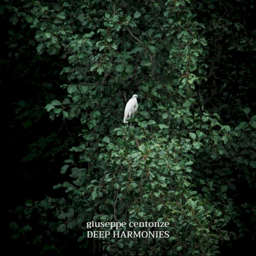 Deep Harmonies