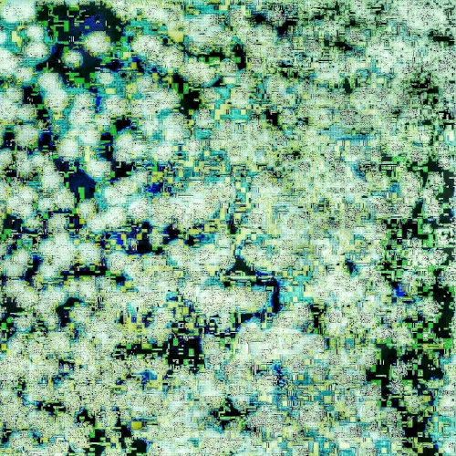 Floor-Ox Anonymous