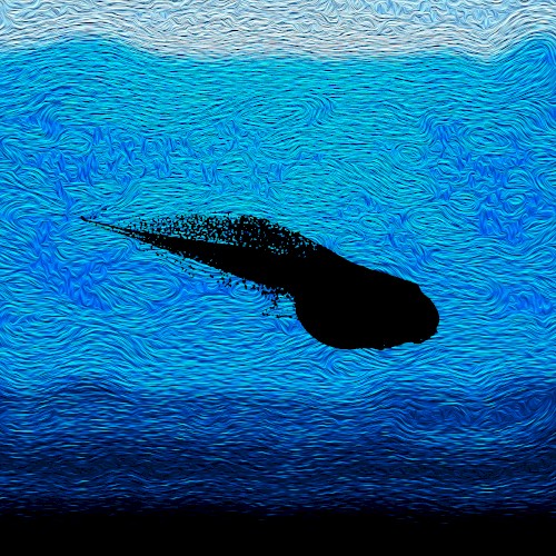 As the Larvae Swim Freely
