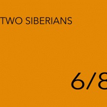 6/8