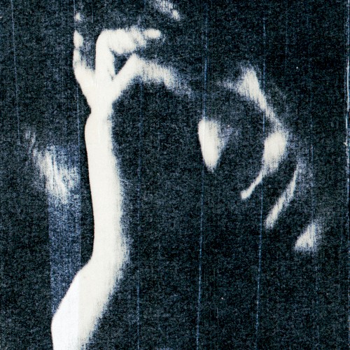 In Vitro