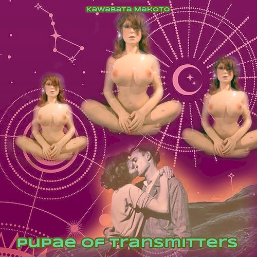 Pupae of Transmitters