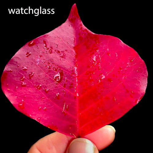 Watchglass