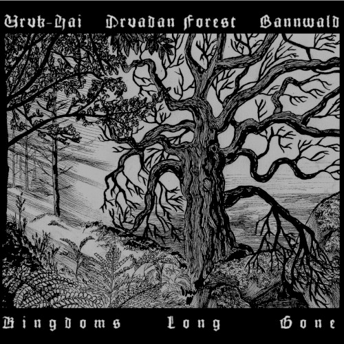 Kingdoms Long Gone