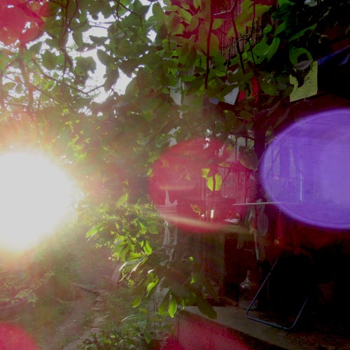 Gardenside Ambient Sessions II