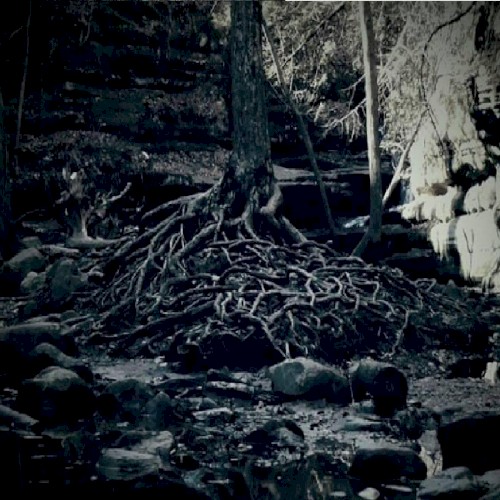 State of Desolation