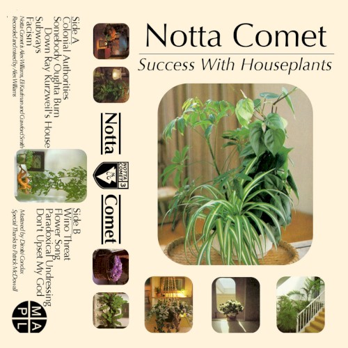 Success With Houseplants