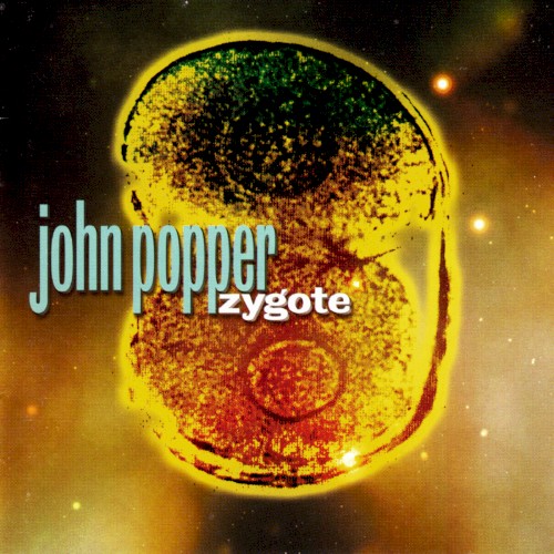 Zygote