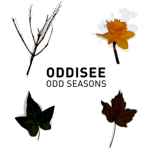 Odd Seasons