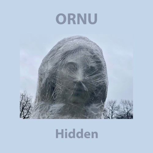 Hidden