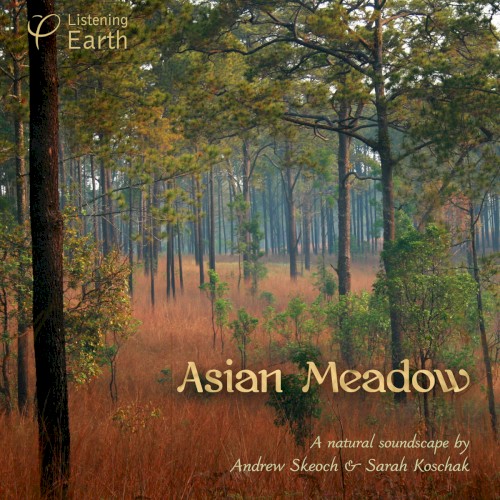Asian Meadow