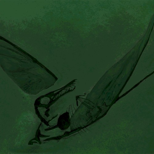 Rhamphorhynchus