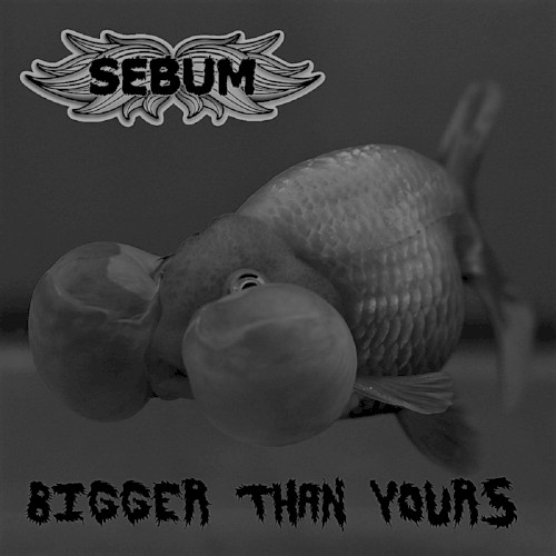 Bigger Than Yours