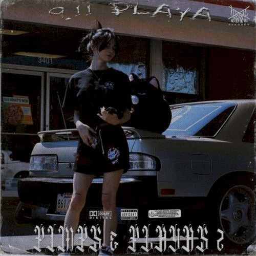 PIMPS & PLAYAS 2
