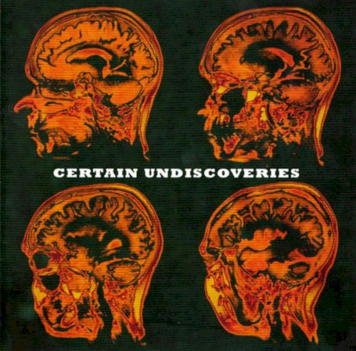 Certain Undiscoveries