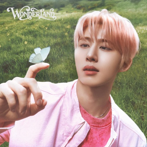 WONDERLAND