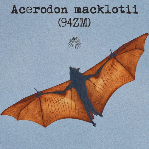 Acerodon macklotii