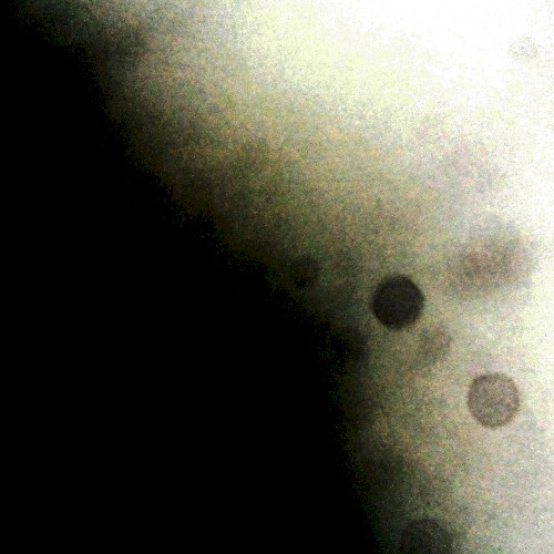Minuscule Prelude for an Ephemeral Closing