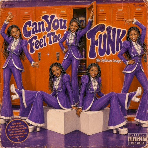 Can You Feel The Funk