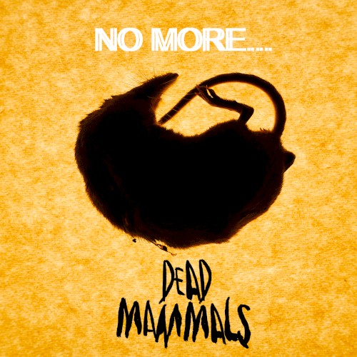 No More…