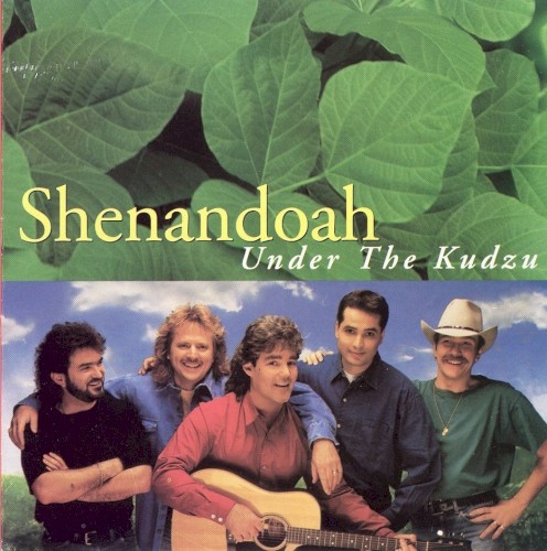 Under the Kudzu