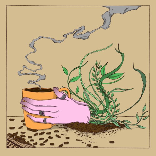 Coffee