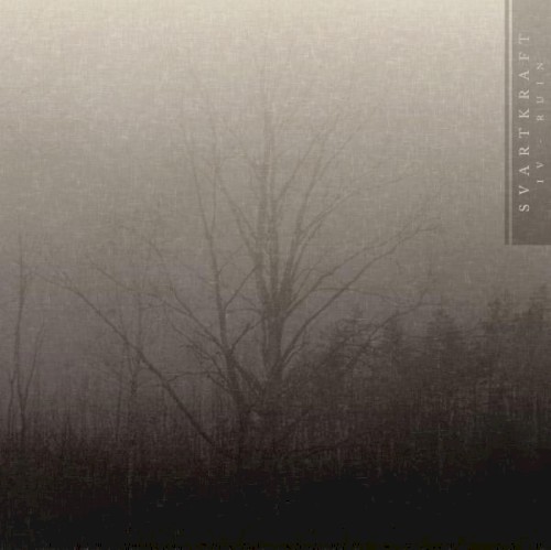 IV - Ruin