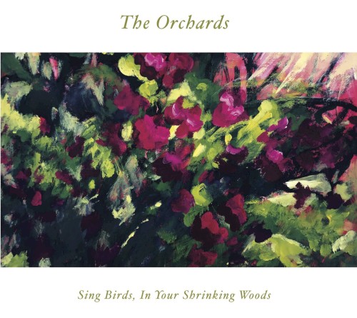 Sing Birds, in Your Shrinking Woods