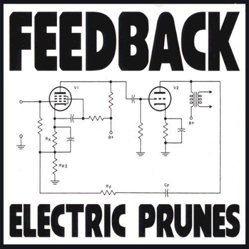 Feedback