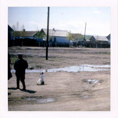 Cherepovets Region Painters