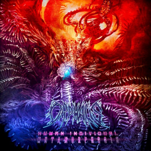 Human Individual Metamorphosis