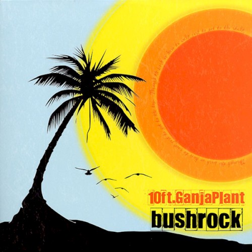 Bush Rock