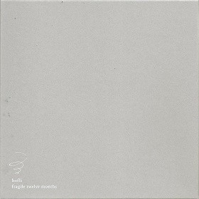 収録曲 [Fragile Twelve Months]