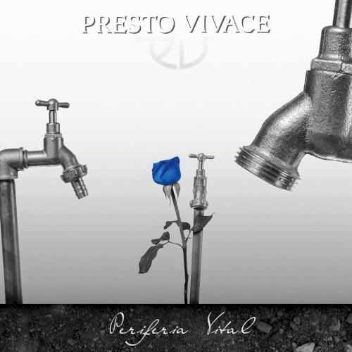Periferia vital