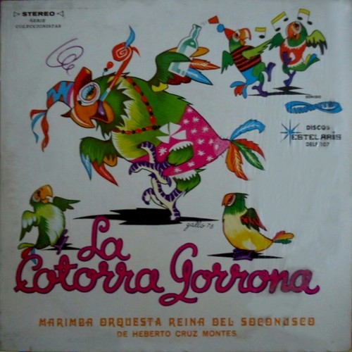 La cotorra gorrona