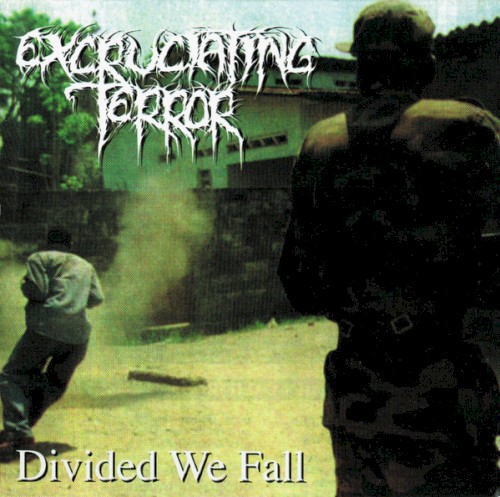 Divided We Fall