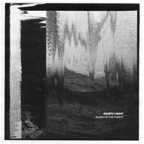 BURIED IN THE FOREST